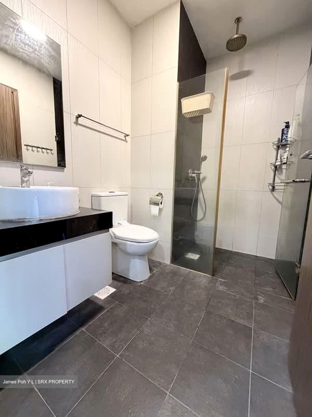 Parc Rosewood (D25), Condominium #591269251